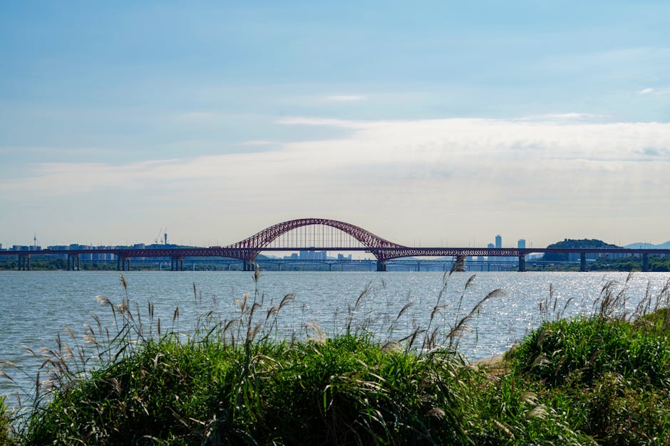 Banghwa Bridge spanning the Han River with reeds and parkland in foreground