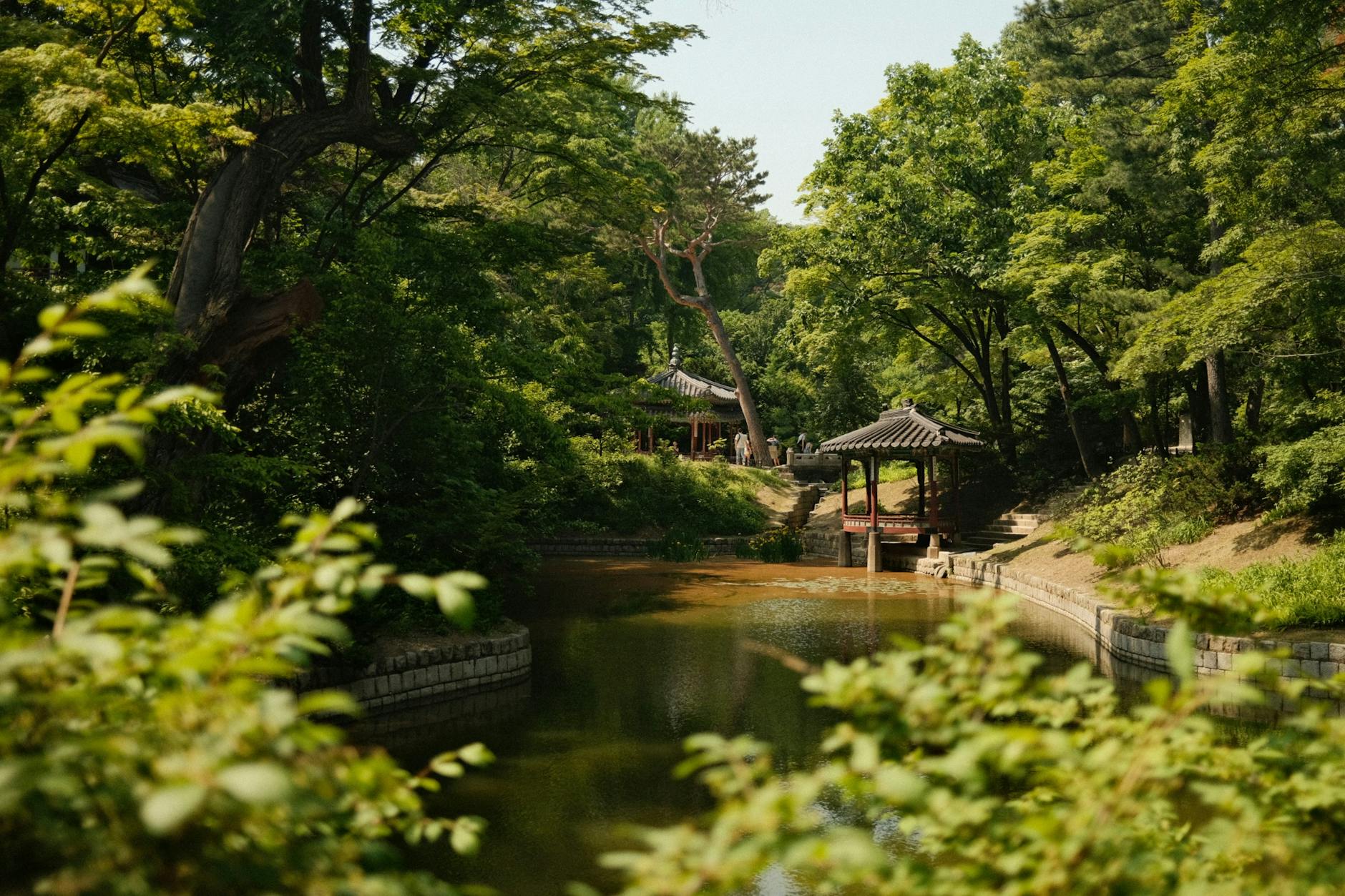Beautiful Secret Garden at Changdeokgung Palace Seoul