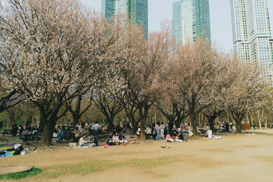 People enjoying a springtime picnic at a Seoul park with cherry blossoms and skyscrapers