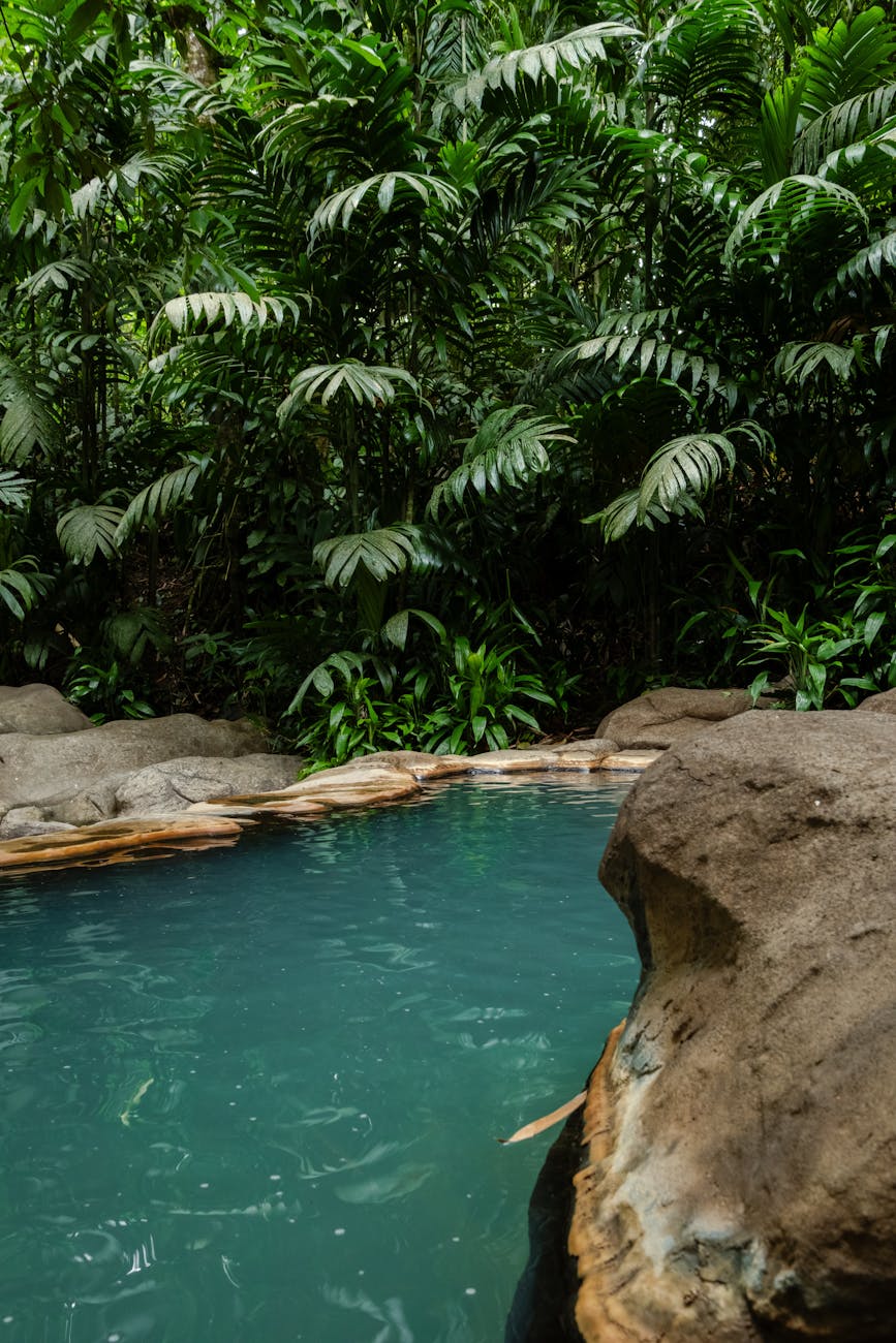 Serene hot spring pool surrounded by nature near Seoul Korea