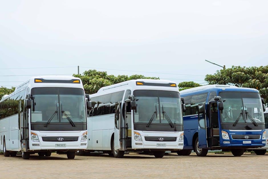Hyundai limousine buses, the type used for Incheon Airport to Seoul direct service