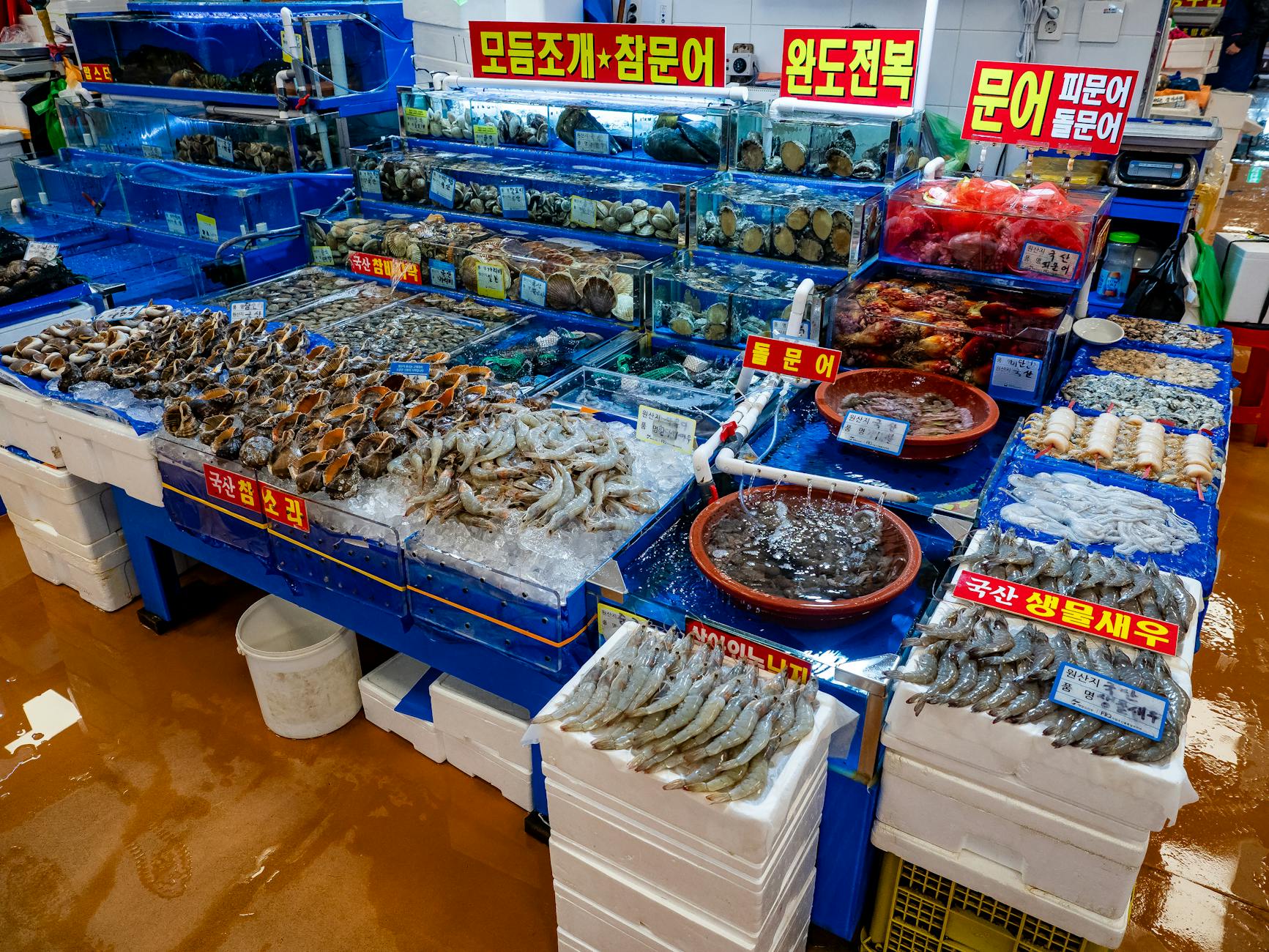 Fresh seafood at a Seoul fish market