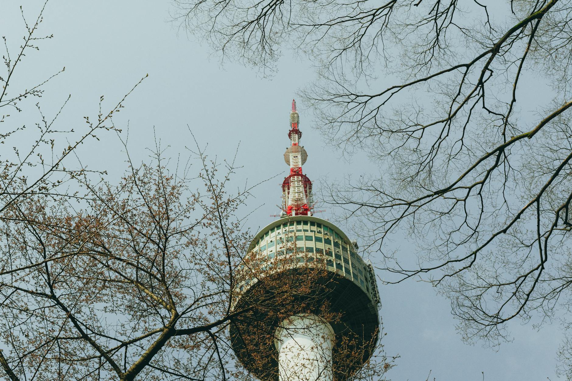 Namsan Tower hiking trail — free outdoor activities Seoul