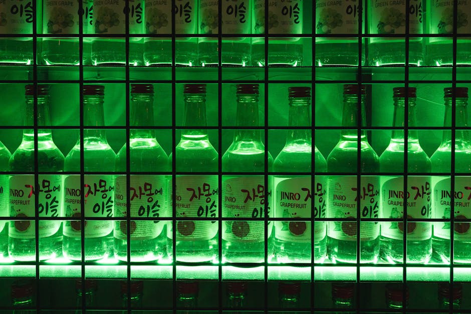 Seoul bar nightlife scene with people drinking