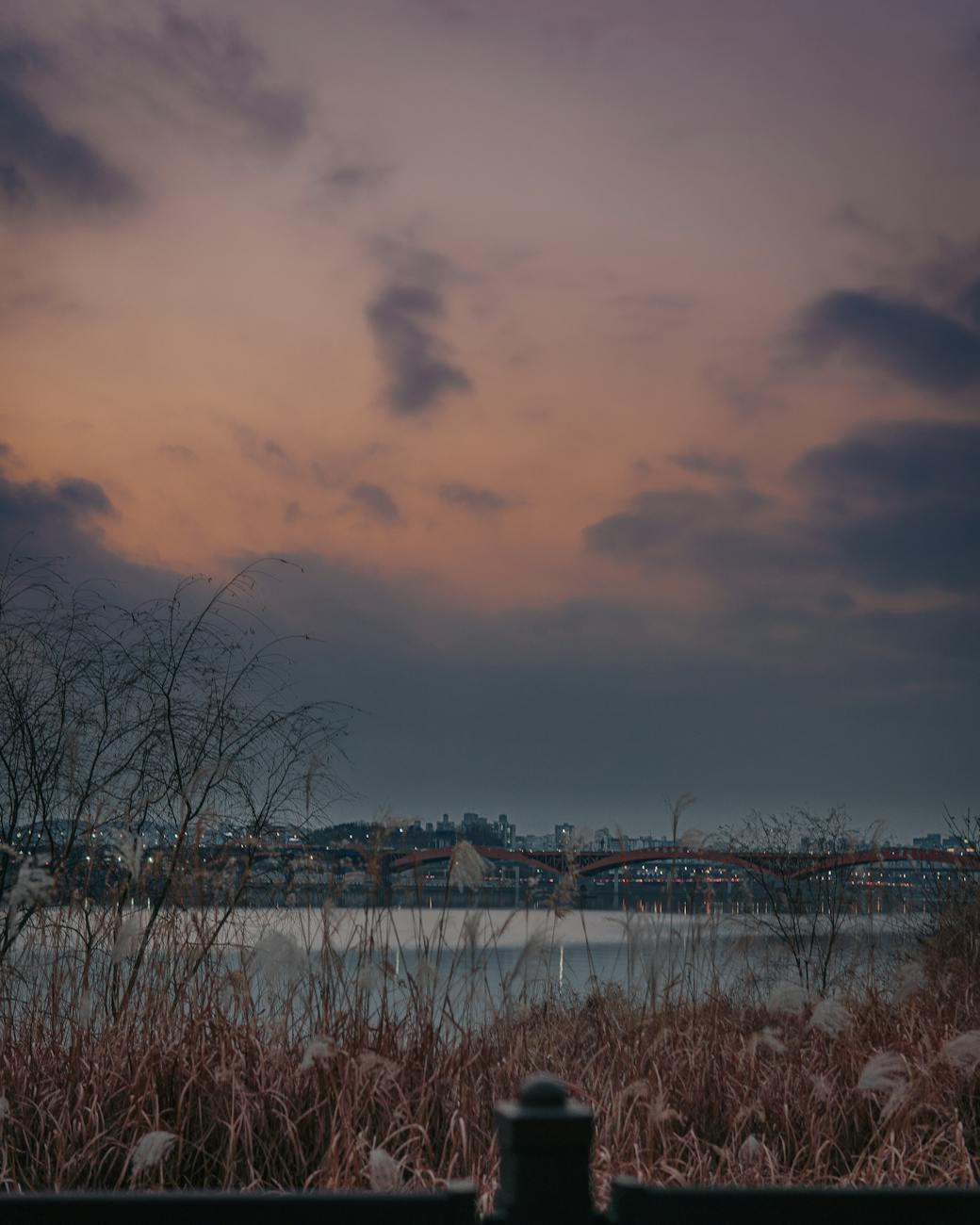 Han River park in Seoul with green trees and city skyline