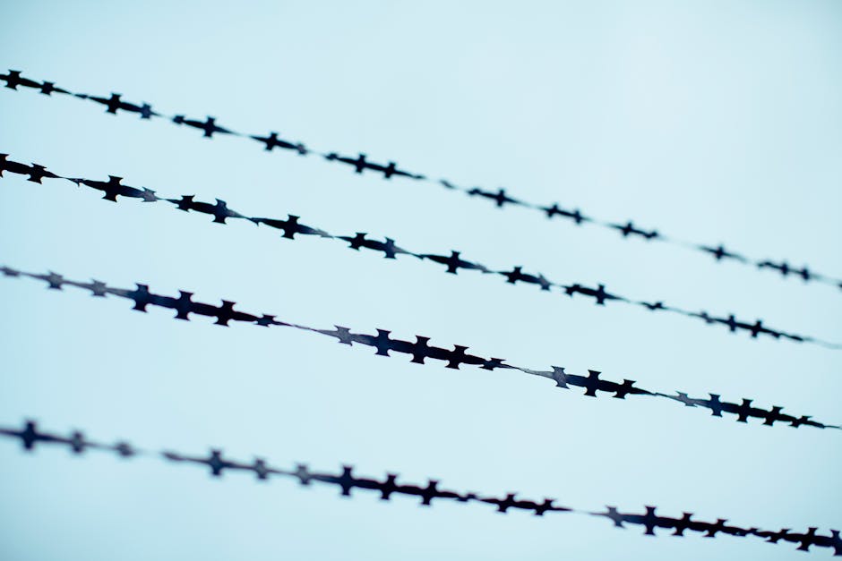 Barbed wire fences symbolizing the DMZ Korean border tour