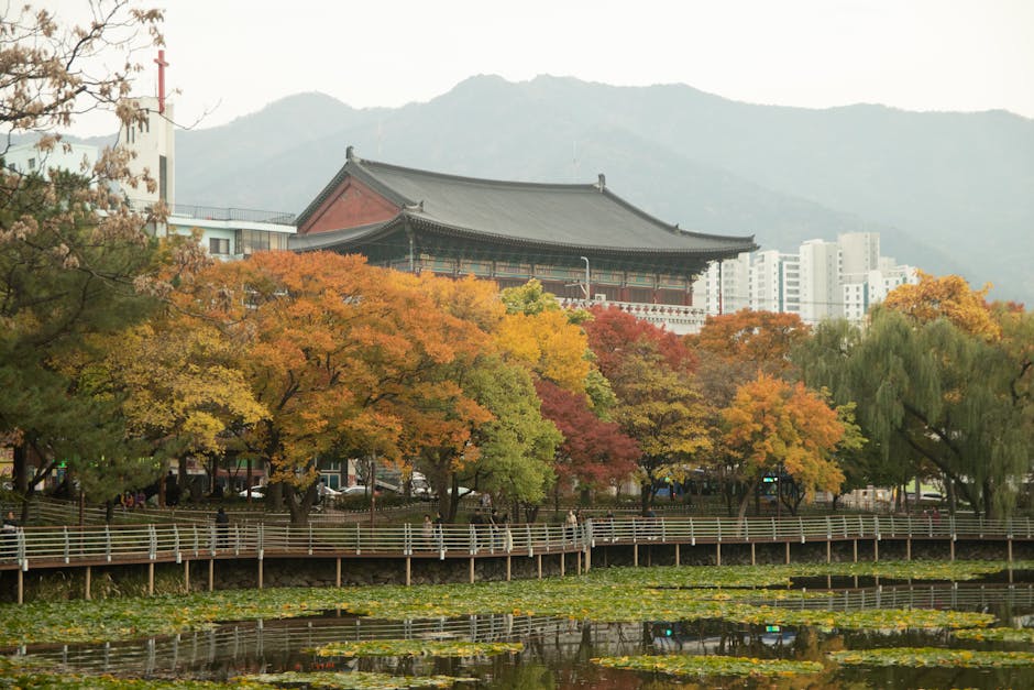 Autumn foliage Seoul Korea red yellow leaves fall colors