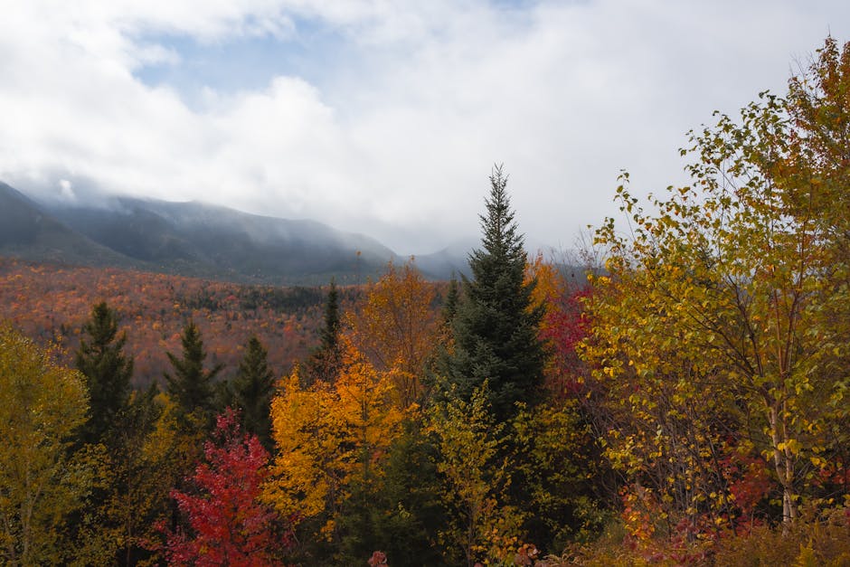 Fall colors mountain Bukhansan autumn foliage Seoul hiking