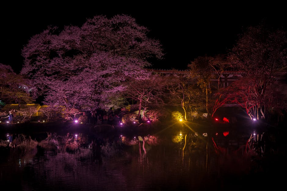 Cherry blossom night lit up Seoul evening sakura illumination