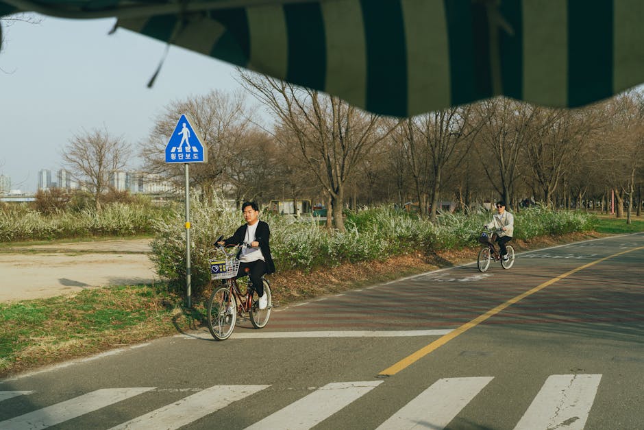 Scenic bike ride in Seoul park during springtime perfect for cycling guide