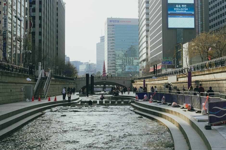 Vibrant Cheonggyecheon Stream urban oasis K-drama filming location