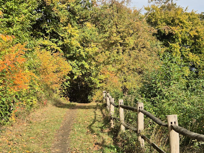 Serene forest path lined with colorful autumn foliage rustic wooden fence Nami