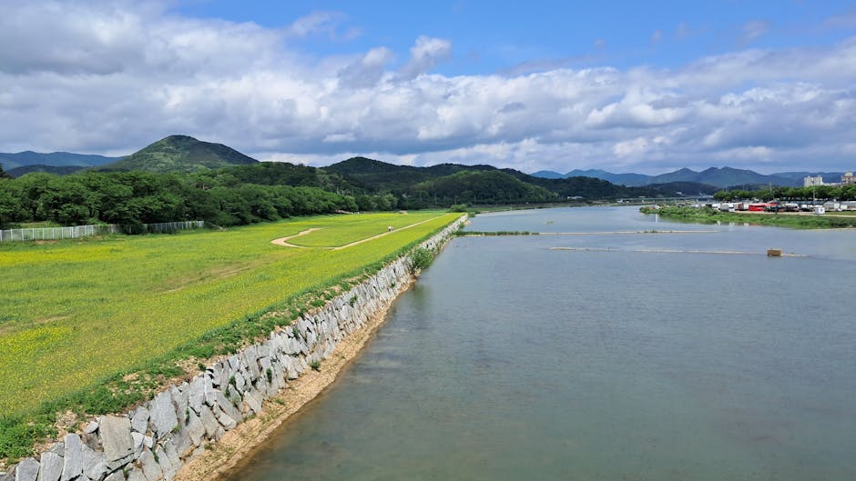 Han River picnic Korea Seoul summer outdoor evening