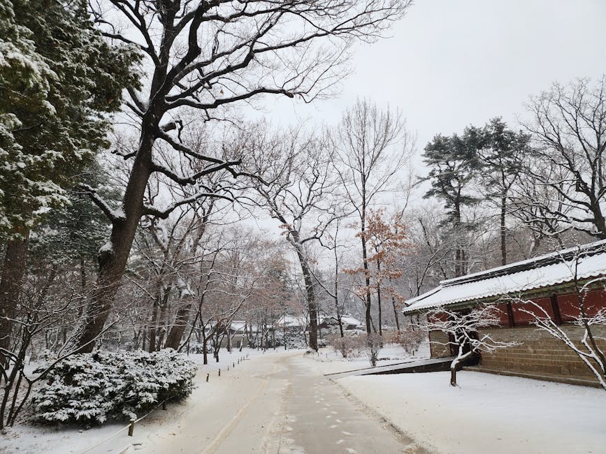 Seoul in winter snow covered city Korea winter scene