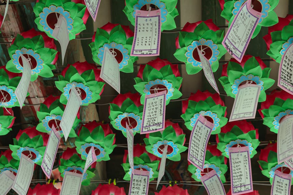 Lotus lanterns at Korean temple Buddhas birthday templestay decoration