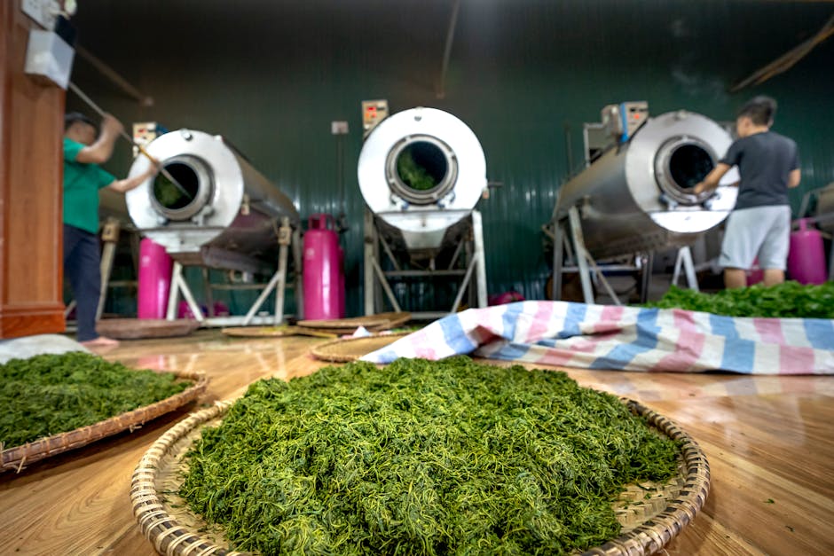 Tea leaves preparation Korean traditional tea Seoul brewing