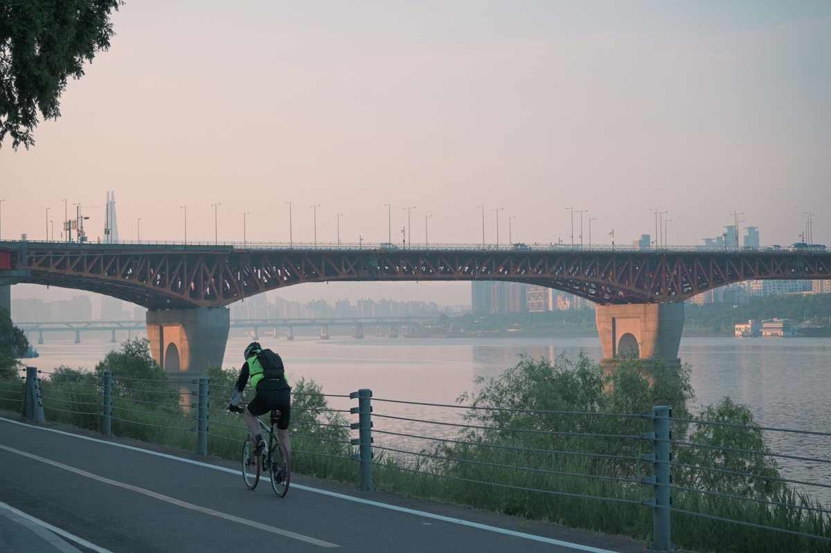 Locals relaxing in a free Han River park in Seoul