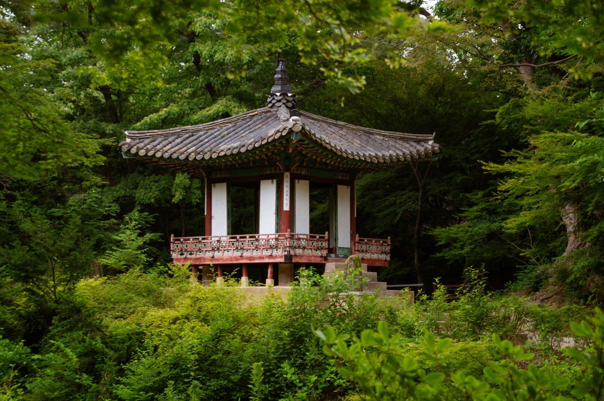 Green space at Seoul Forest park