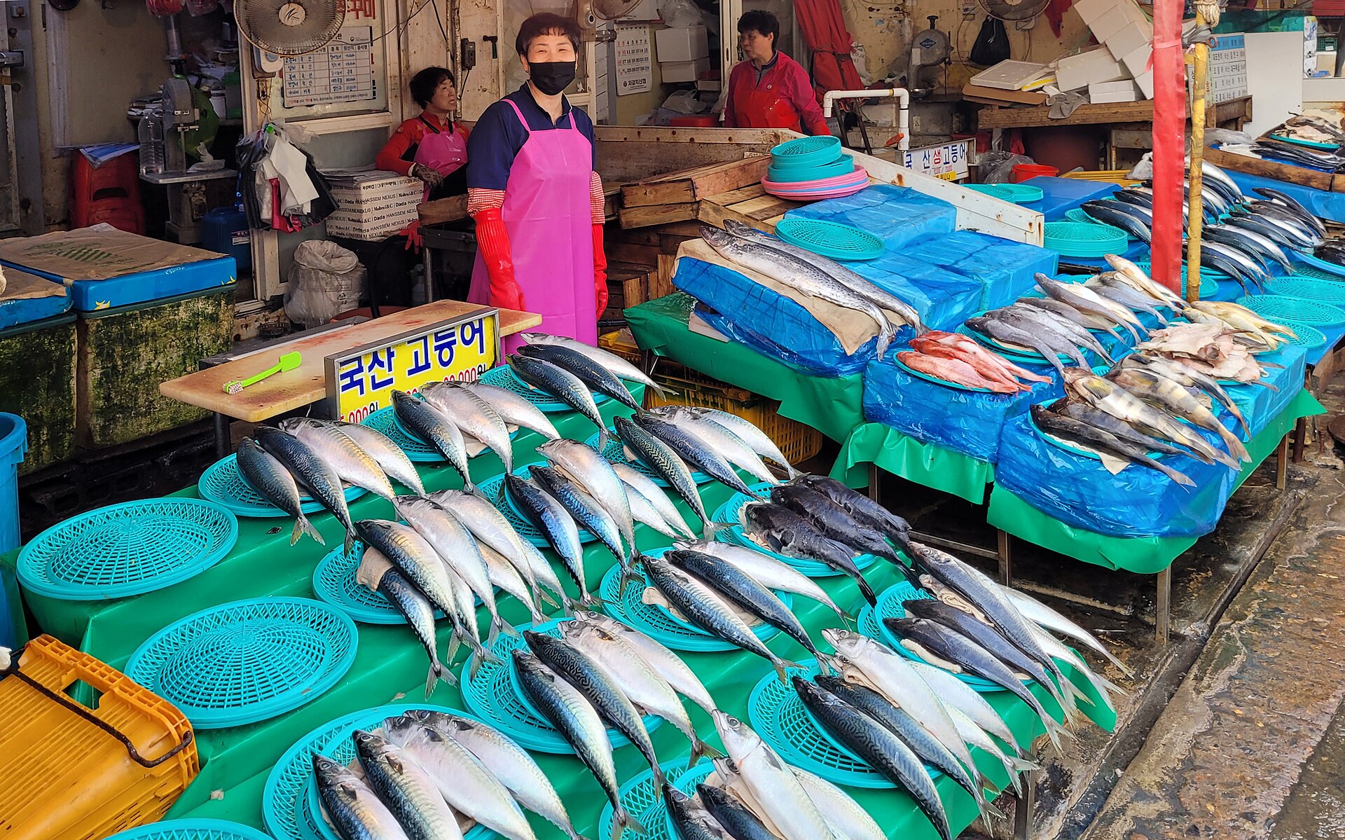 Rows of silver mackerel laid out on blue and green trays at a market stall, with a vendor in a pink apron behind them